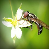 /album/chudovi-prezentatsiji-dlya-uchniv-i-vchiteliv/photolia-a02-jpg/