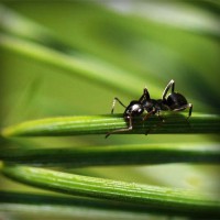/album/chudovi-prezentatsiji-dlya-uchniv-i-vchiteliv/photolia-a05-jpg/
