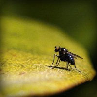 /album/chudovi-prezentatsiji-dlya-uchniv-i-vchiteliv/photolia-a07-jpg/